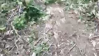 A GROUP OF UKRANIAN SOLDIERS CHALLENGED "SPARTAN"