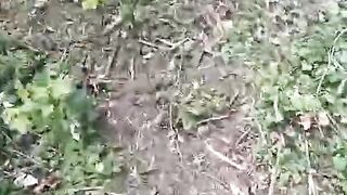 A GROUP OF UKRANIAN SOLDIERS CHALLENGED "SPARTAN"