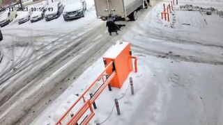 Russian man crushed by reversing truck