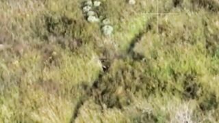 Camouflaged Russian kills 2 Ukrats.