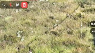 Camouflaged Russian kills 2 Ukrats.