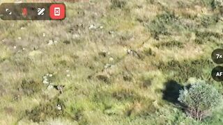Camouflaged Russian kills 2 Ukrats.