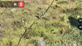 DayZ in real life (-2 banderas)
