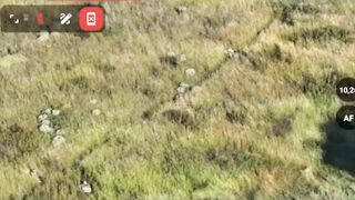 DayZ in real life (-2 banderas)