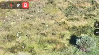 DayZ in real life (-2 banderas)