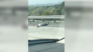 USA: Man Decapitated Following Traffic Accident In California