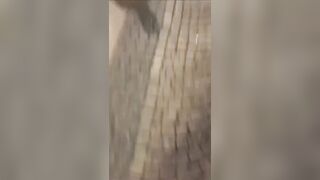Angry Men Film Themselves Assaulting ANTIFA In Sweden