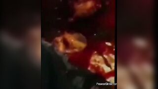 Compilation classic Horny death