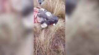 Zimbabwean businessman Chivayo, close to ruling elite, killed in helicopter crash