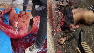 Unmerciful Cartels (Compilation)
