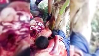 Unmerciful Cartels (Compilation)