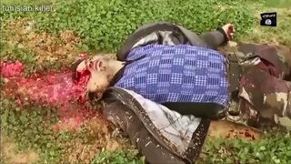 Death 'n' shit compilation 17