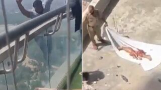 Suicidal Man Falls From 41st Floor, Explodes On Impact