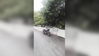 Elderly Bike Was Found Hanging From Tree On The Roadside