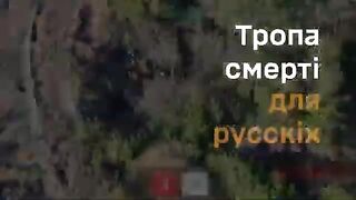 And another road of death with dozens exterminated katsapfaggots at northern Kharkiv