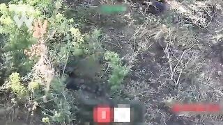 And another road of death with dozens exterminated katsapfaggots at northern Kharkiv
