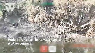 And another road of death with dozens exterminated katsapfaggots at northern Kharkiv