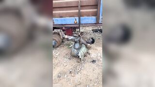 ManWho Tried To Steal A Fuel Tortured In Zambia