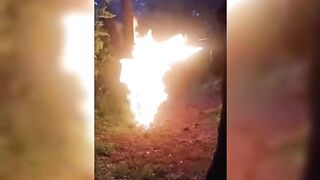 CARTELS LIKE TO BURN (COMPILATION)