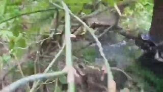 EXECUTION OF UKRAINIAN SOLDIERS BY ZOV MARINES