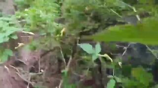 EXECUTION OF UKRAINIAN SOLDIERS BY ZOV MARINES