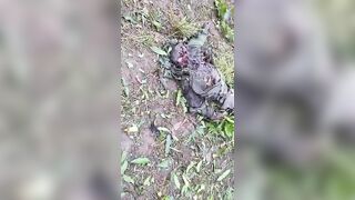 Rwandan Soldiers Ambushed, Killed In Congo