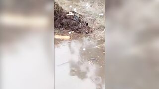 Military Plane Crash In Nigeria: 32 Killed