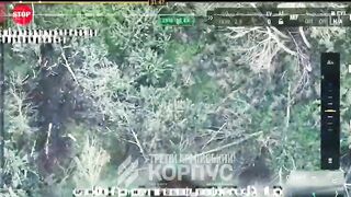 Dead Russians by 53rd Brigade. #2