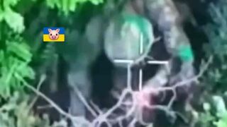 Wounded Ukrat goes grenade and boom.