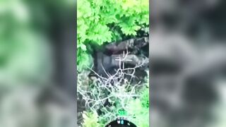 Wounded Ukrat goes grenade and boom.
