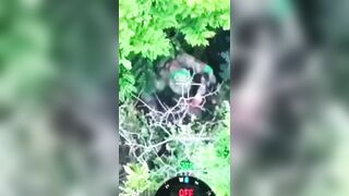 Wounded Ukrat goes grenade and boom.