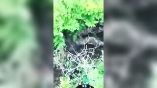 Wounded Ukrat goes grenade and boom.