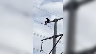 Wasted Man Climbs On The Pole And Contacts Live Wire