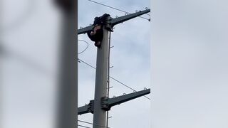 Wasted Man Climbs On The Pole And Contacts Live Wire