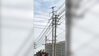 Wasted Man Climbs On The Pole And Contacts Live Wire