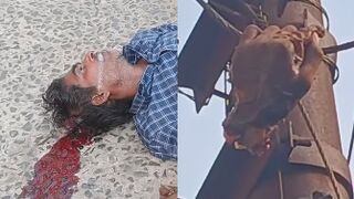 Cable Thief Slowly Dies After Leaving His Palm On Copper Cable