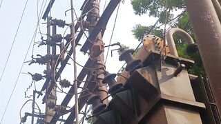 Cable Thief Slowly Dies After Leaving His Palm On Copper Cable