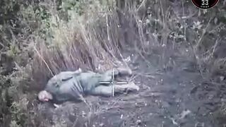 Russhit vs little drone. Slap Battle.