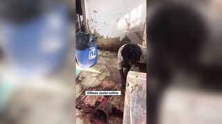 Man Lived Over Two Months With Decomposing Corpse Of His Mom