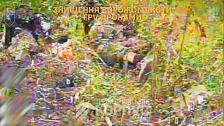 Dead Russians by 125th Brigade. #5