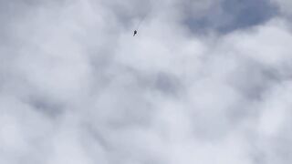 Ukrainian Mig-29 pilot shoot the ruzky drone in a sky