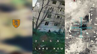 Dead Russians by 43rd Brigade.