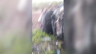 Three Killed Following Head On Collision Between Two Vehicles In Brazil
