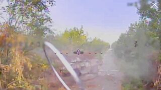 Tearing Russhits to pieces by 225th Regiment.