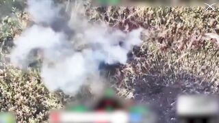 Tearing Russhits to pieces by 225th Regiment.