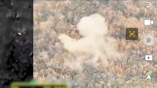 Tearing Russhits to pieces by 225th Regiment.