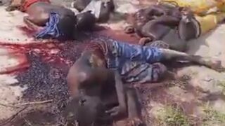 Boko Haram Islamists Killed Villagers Collecting Firewood In Nigeria