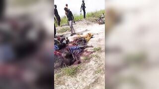 Boko Haram Islamists Killed Villagers Collecting Firewood In Nigeria
