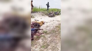 Boko Haram Islamists Killed Villagers Collecting Firewood In Nigeria