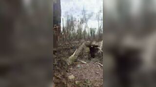 ZUKRATS KILLED BY PINOCCHIO FOUND BY COMPADRES